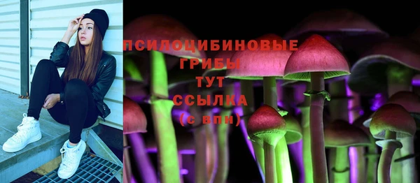 ешки Бугульма