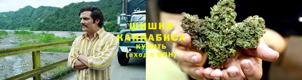 ГАЛЛЮЦИНОГЕННЫЕ ГРИБЫ Бородино