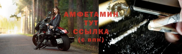 метадон Богданович