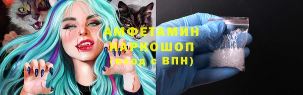 метадон Богданович