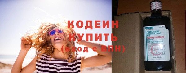 метадон Богданович