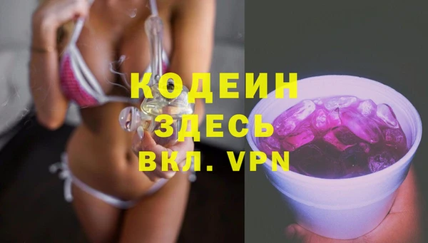ГАЛЛЮЦИНОГЕННЫЕ ГРИБЫ Бородино