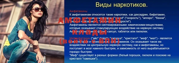 ГАЛЛЮЦИНОГЕННЫЕ ГРИБЫ Бородино