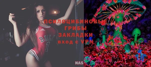 экстази Богородск