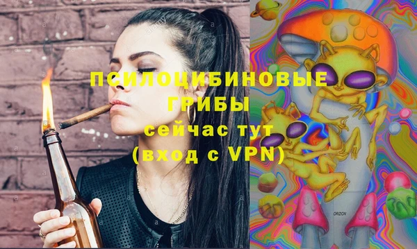 метадон Богданович
